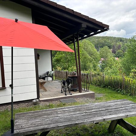 Harzhuisje - Sankt Andreasberg Exterior foto