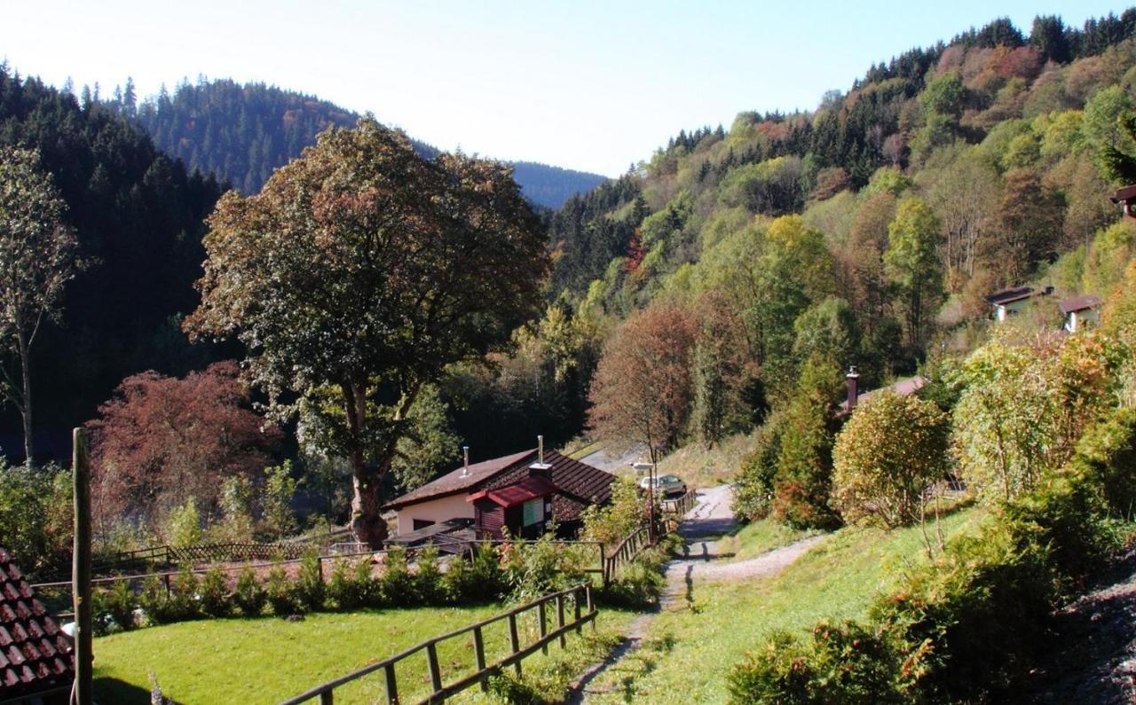 Harzhuisje - Sankt Andreasberg Exterior foto