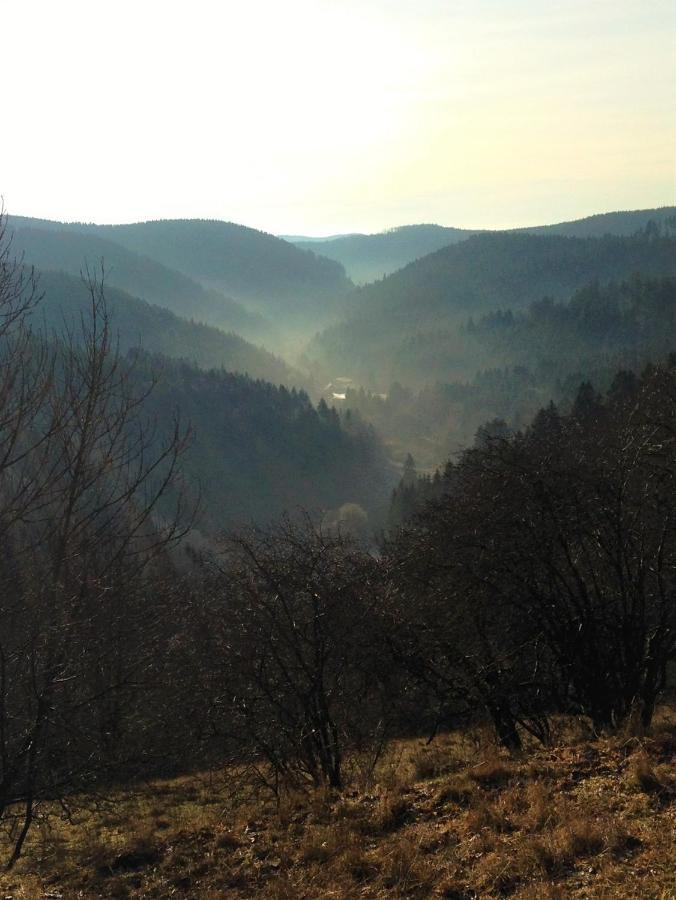Harzhuisje - Sankt Andreasberg Exterior foto